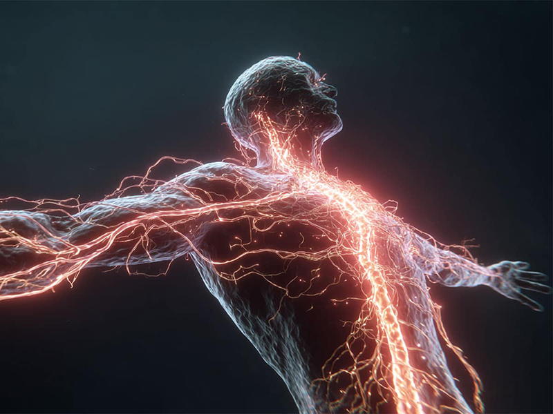 Vagus Sinirinin G�c�n� Ke�fedin!