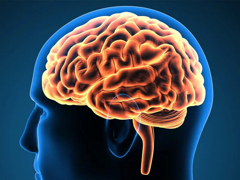 Beyniniz Kab�z Olmas�n!